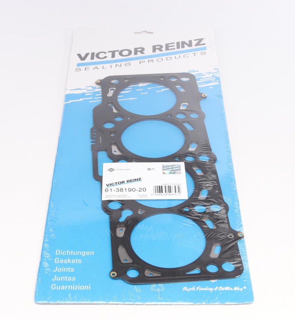 613819020 VICTOR REINZ